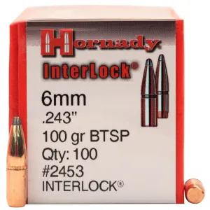 6mm .243 100gr Btsp -100