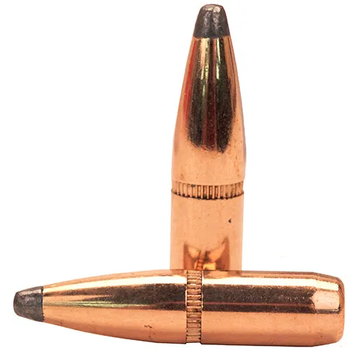 6mm .243 100gr Btsp -100
