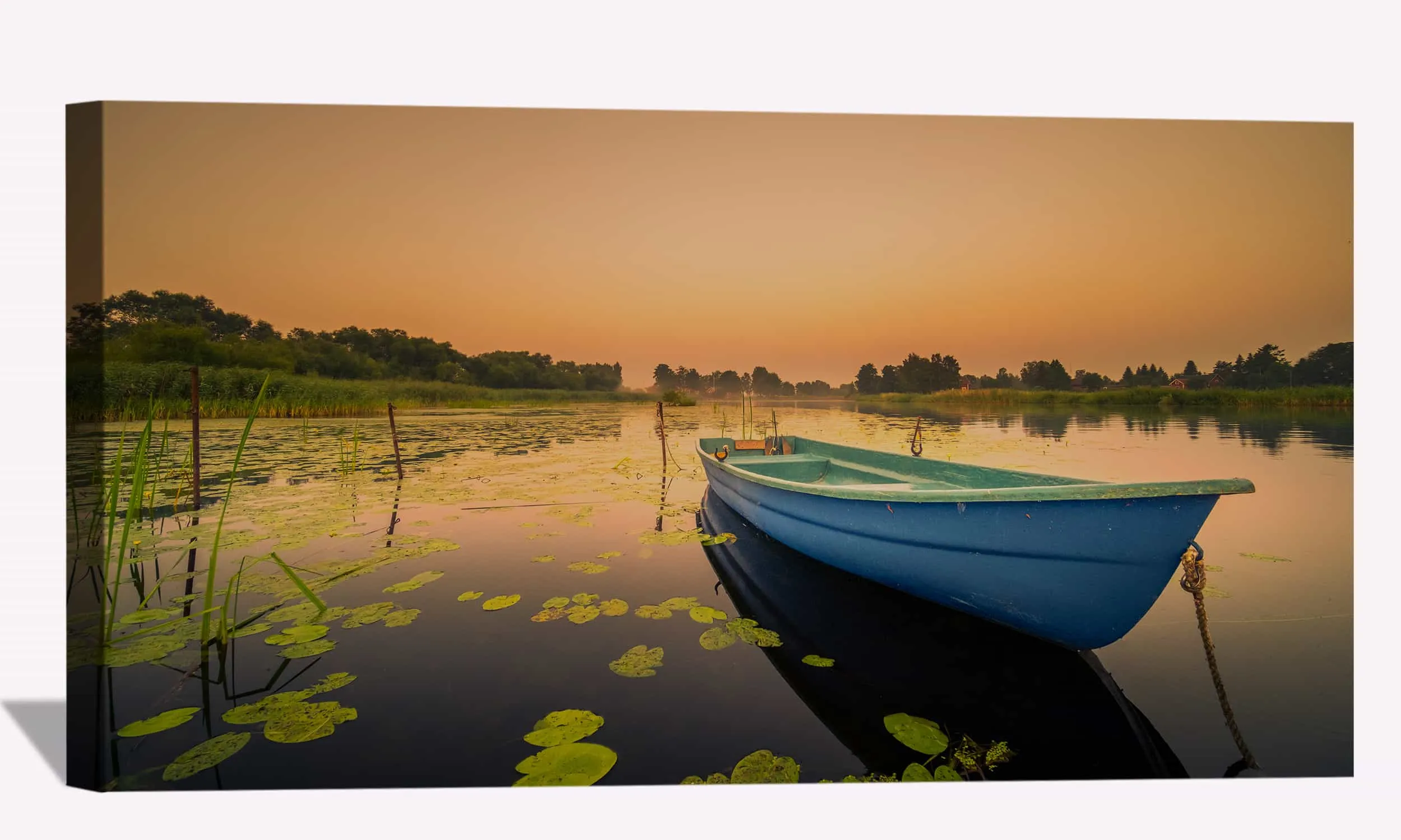 Boat Lily Water Lake Canvas Art