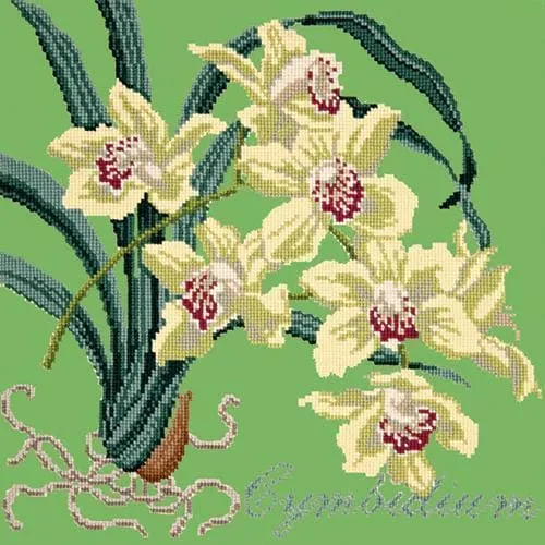 Cymbidium (Boat Orchid)