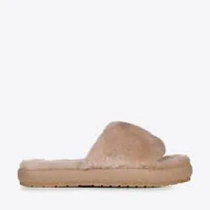 EMU - Mckay - Camel/Chameau