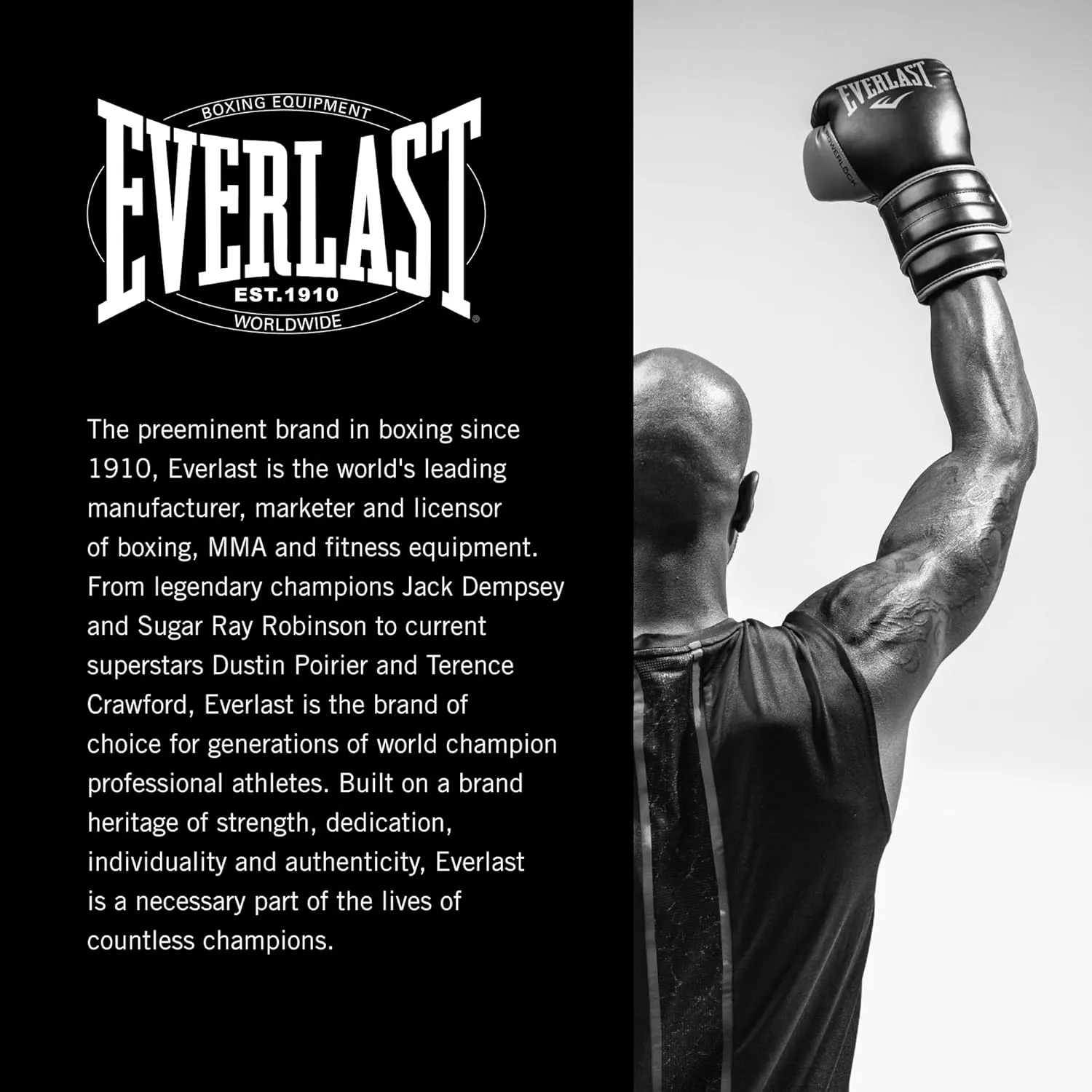 Everlast Elite V2 Boxing Shoes: Your Ultimate Training Companion for Excellence and Durability Boxing Shoes, Elite 2 Shoes, Training Footwear