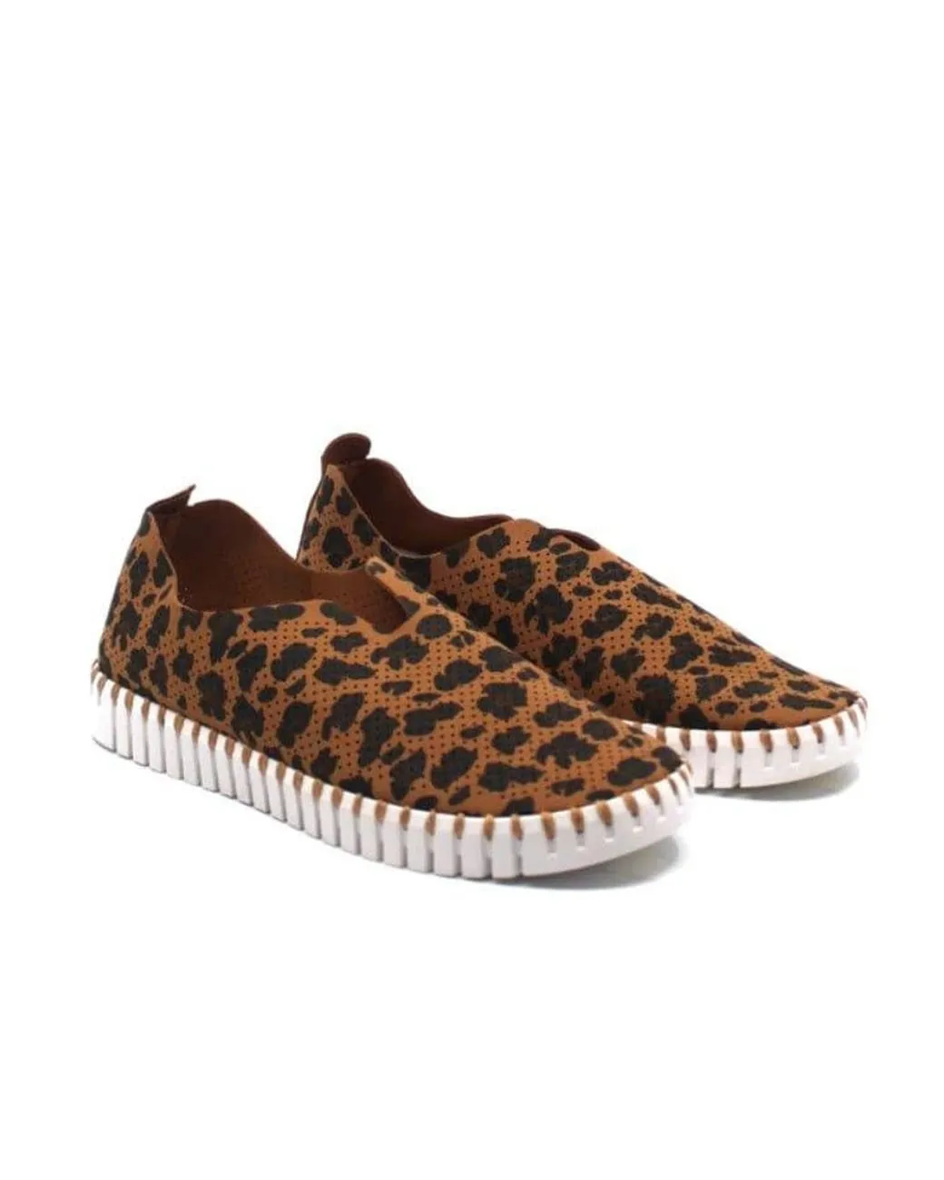 International delivery On Ilse Chestnut Discounted delivery Light Rounded 139LEO Tulip Closed Jacobsen Sneaker Toe Slip